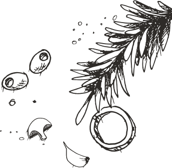 bg2