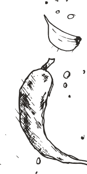 bg4
